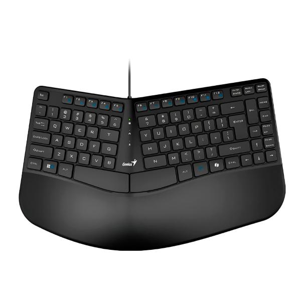 TECLADO GENIUS ERGO KB-700 MEMBRANA ALÁMBRICO USB ESPAÑOL 31310053401 NEGRO