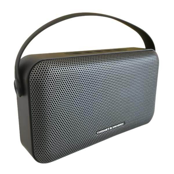 PARLANTE THONET & VANDER ZIEGEL 30W BLUETOOTH HK096-03652 GRIS